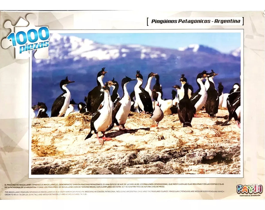 Argentina Patagonia 1000-Piece Puzzle - Scenic Jigsaw Challenge