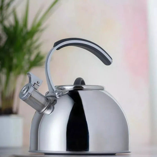 Whistling Stainless Steel Kettle 3L by Pettish Online 1