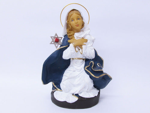 Religious Image Virgin of Cerro de Salta - PVC - 20 cm 0