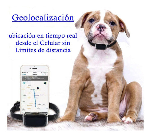 Alpin GPS Pet Tracker Mini Locator Collar 3