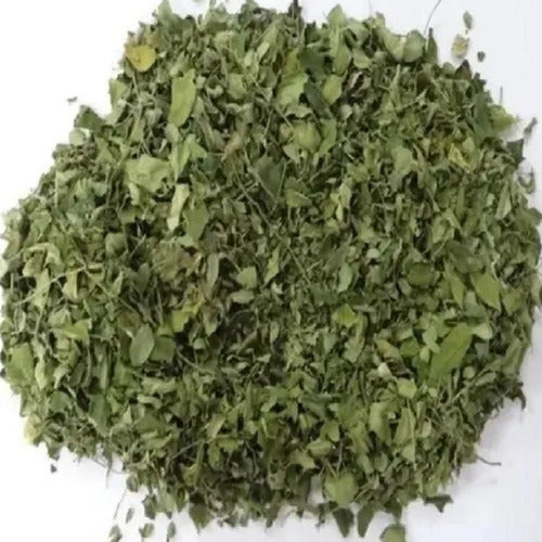 Dried Moringa Leaves 500g 0