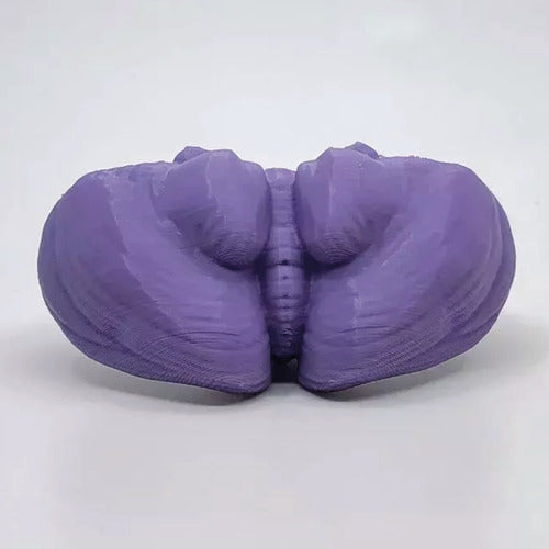 3D Printed Cerebellum Anatomy Model - Violet Color - Real Dimensions - Available Stock 0