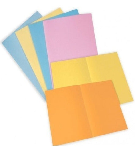 Pack of 100 Office Folder Covers for Office Use - Aries Commercial 28