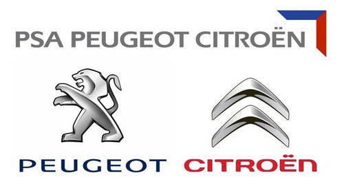 Motor Mount Peugeot Expert 1.6 Hdi 3