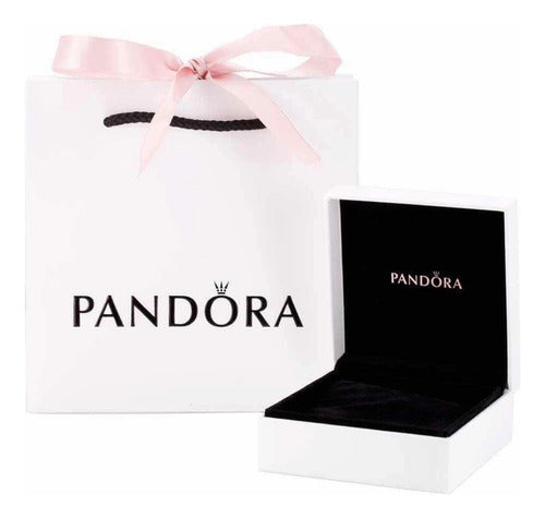 Small Box and Original Pandora Bag 0