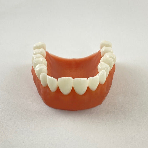 Dental Suture Pad 1