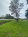 Large Plot for Sale in José C Paz on National Route 8 3