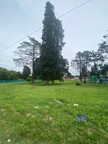 Large Plot for Sale in José C Paz on National Route 8 13