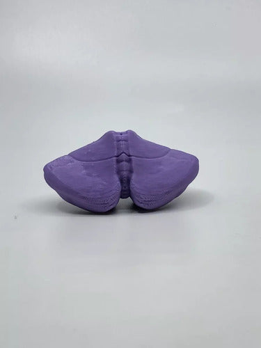 3D Printed Cerebellum Anatomy Model - Violet Color - Real Dimensions - Available Stock 3