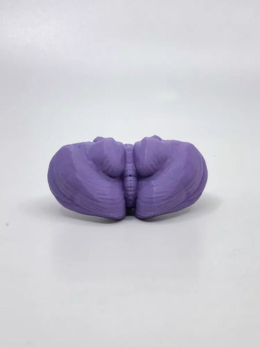 3D Printed Cerebellum Anatomy Model - Violet Color - Real Dimensions - Available Stock 1