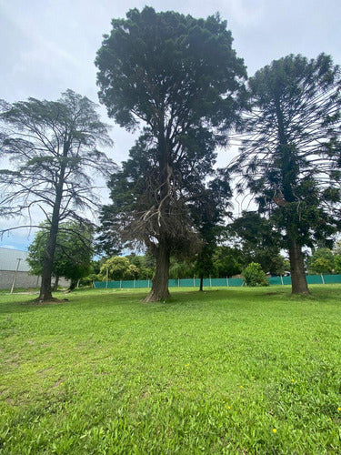 Large Plot for Sale in José C Paz on National Route 8 4