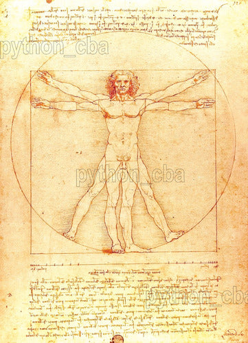 Beautiful Vitruvian Man Poster - Da Vinci - 120x85 New 1