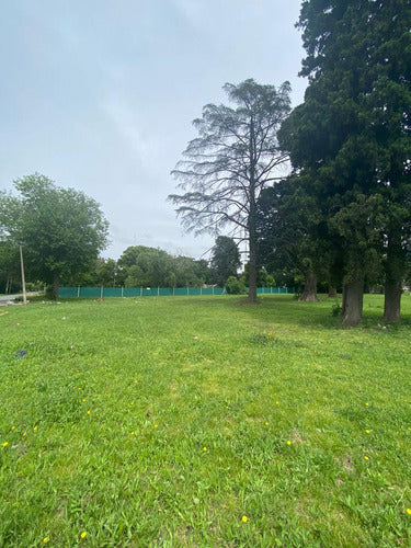 Large Plot for Sale in José C Paz on National Route 8 6