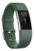 POY Mesh Band for Fitbit Charge 2 Olive Green 0