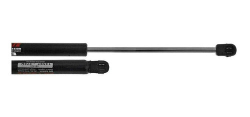 Set of 2 Ford Fiesta 02/10 Tailgate Struts - Winlift Official Store 0