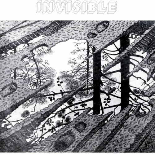 Argentine Rock Classic: Invisible LP - Iconic Artist Luis Alberto Spinetta
