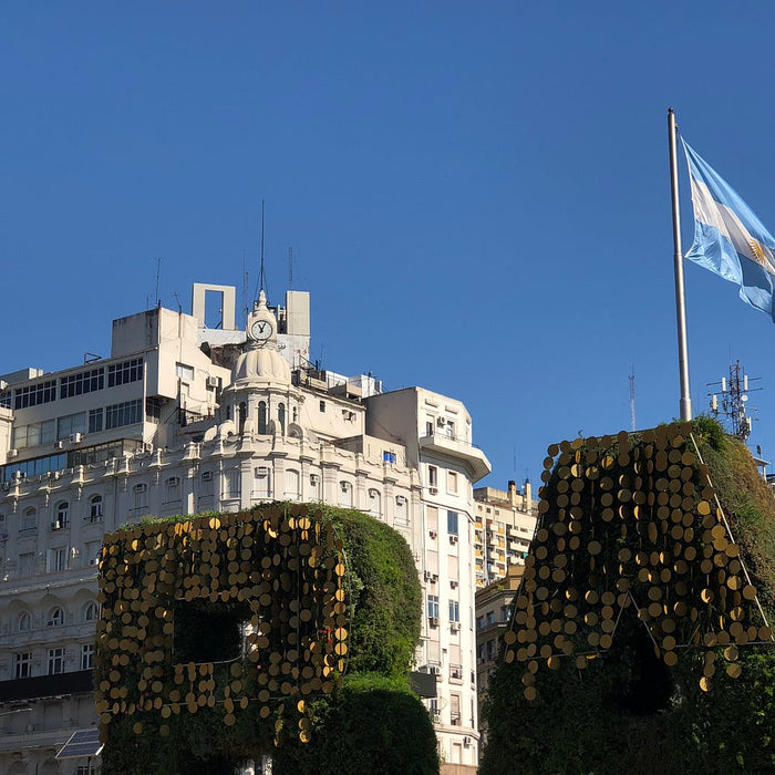Discover the Best Courses to Study in Buenos Aires with an Argentinian Twist