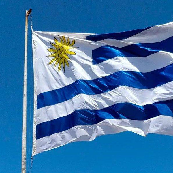 How To Buy Uruguayan Products with Delivery to Europe