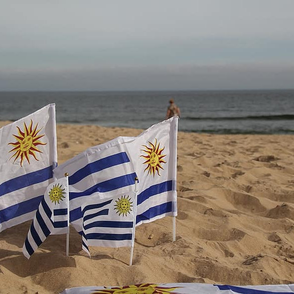 Bringing Uruguay Home: Discover Must-Have Uruguayan Products Shipped Worldwide!