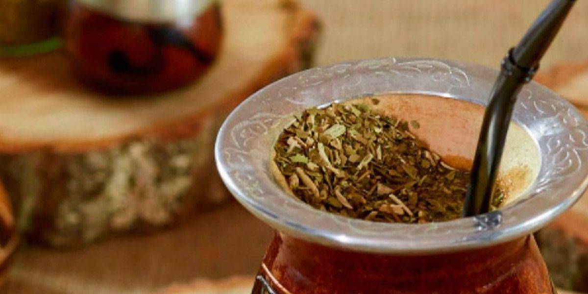 Yerba Barbacuá, What Is The Difference With The Traditional Yerba?