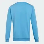 Adidas Argentina Argentina Selection Round Neck Sweatshirt: Iconic Comfort & Style