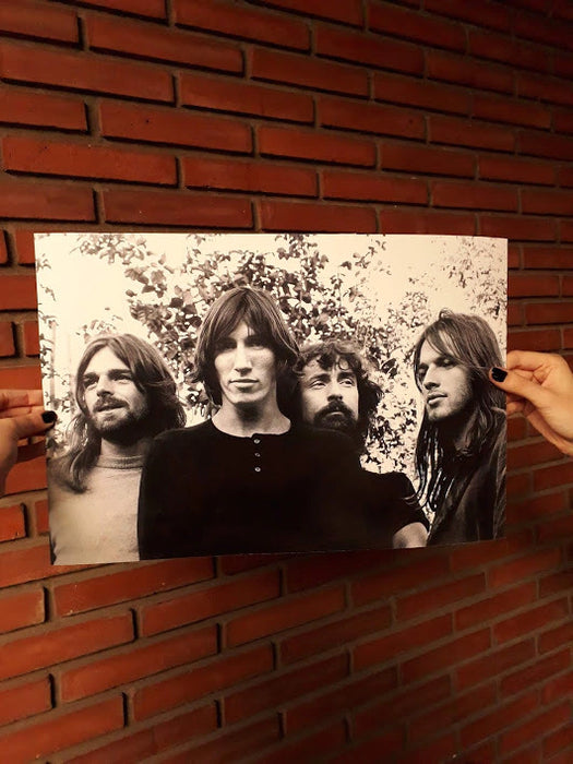 Ameba | Pink Floyd Poster - Iconic Music Legends - Limited Edition Wall Art Print for True Fans