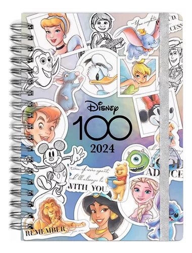 Agenda 2024 Disney 100 Años - $ 529