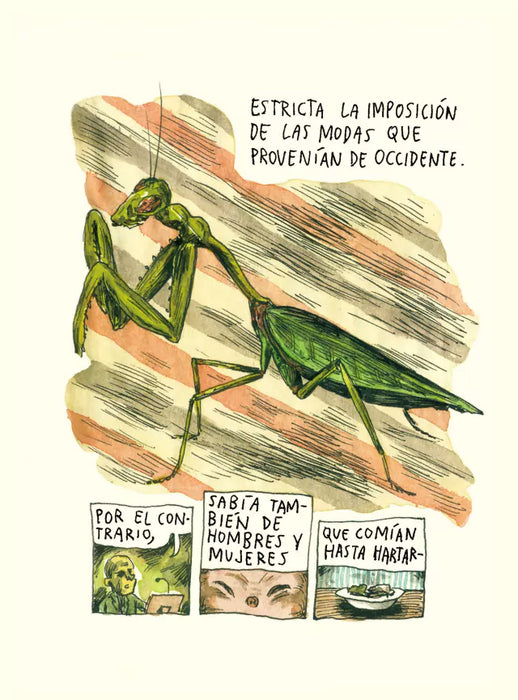 Bola Negra, Novel Book by Liniers Bellatin - La Editorial Común (Spanish)