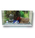 Complete Fish Tank Kit 80x35x20 with 1 Free Fish 0