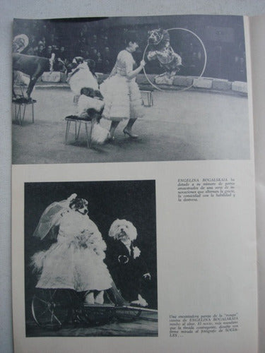 Programa Circo De Moscu Temporada 1970 Luna Park 1