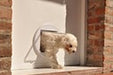 ZooPuertas - Pet Door for Dogs and Cats 6