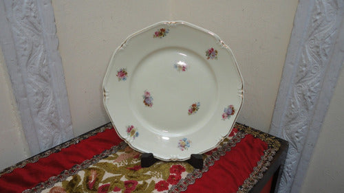 Plato Antiguo Porcelana Bavaria Aleman Con Flores Vealo 1