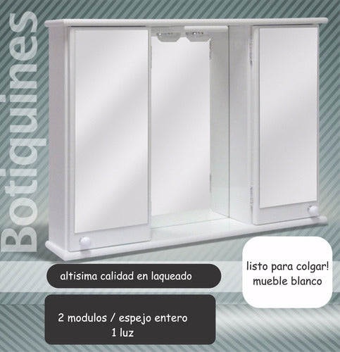 Ale-Myr Classic Medicine Cabinet with Light and Mirror 53x70x13 1