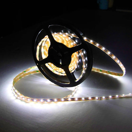 SilverLed Flexible White LED Strip 60led/m 6500k for Indoor Use 1