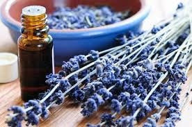 Blend Lavanda De La Provenza, Manzanilla E Incienso X 100 Ml 3