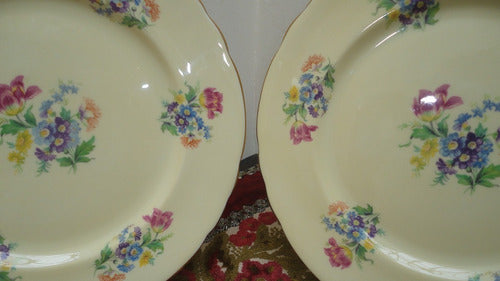 Gran Plato Porcelana Inglesa Antiguo Para Decorar Miralo 1