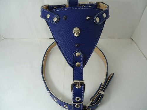 Small Dog Harness and Walking Chain for Breeds Like Poodle 5