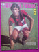 Libro Del Futbol N° 46 Heredia Ajax Gabino Sosa 0