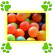 Set of 50 Non-Toxic Balls for Kids Play Pit Games Offer 3