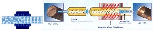 Water Purifier Anti-Limescale Ionizer with Magnets - Imported Mag 2