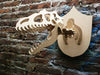 3D Allosaurus Head Dinosaur Assembly Kit 2