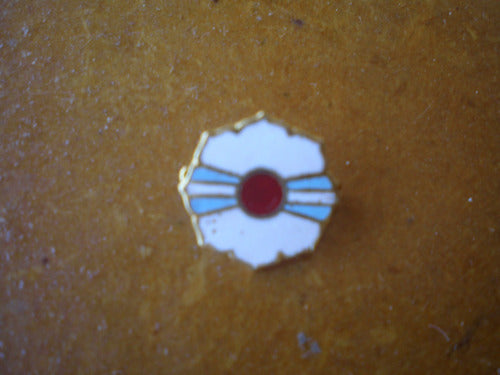 Lucheto Pin Prendedor Esmaltado Federacion Argentina De Yudo 1