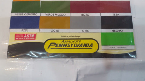 Pintura Para Pisos Pennsylvania  Verde Musgo De 20 Litro 1