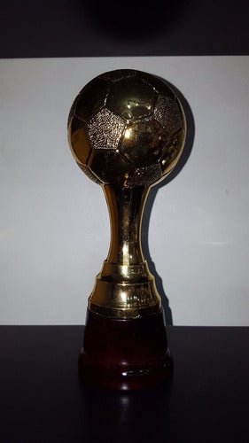 CABPremiaciones Trofeos Copa Plástico Pelota Fútbol Base Madera Balón De Oro 2