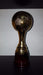 CABPremiaciones Trofeos Copa Plástico Pelota Fútbol Base Madera Balón De Oro 2