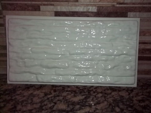 Mold for Anti-Humidity Plaster Panels 3