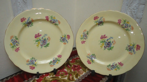 Gran Plato Porcelana Inglesa Antiguo Para Decorar Miralo 0