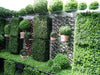 Topiary 28cm + Roman Copon 42 cm Plastic Composite 3