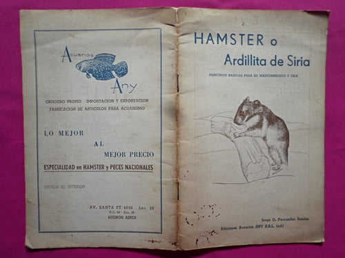 Hamster O Ardillita De Siria Principios Basicos Para Su Cria 2