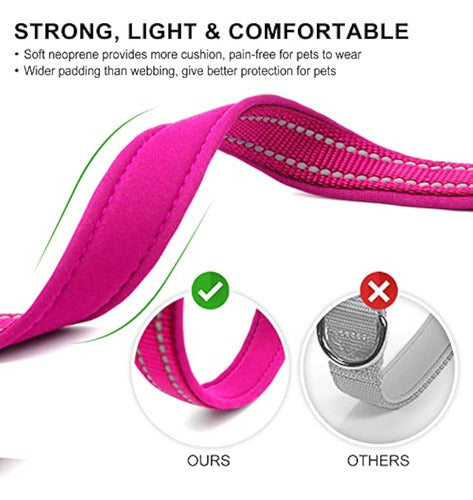 Azuza Reflective Dog Collar, Padded Neoprene Collar with ID Tag Ring, Adjustable for Small Dogs, Hot Pink 2